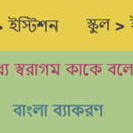 আদি স্বরাগম কাকে বলে? আদি স্বরাগম এর উদাহরণ?