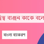 দ্বিত্ব ব্যঞ্জন কাকে বলে? দ্বিত্ব ব্যঞ্জন এর উদাহরণ দাও?