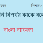 ধ্বনি বিপর্যয় কাকে বলে? ধ্বনি বিপর্যয়ের উদাহরণ দাও?