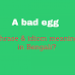 A bad egg এর বাংলা অর্থ কি? “A bad egg” Phrase & idiom meaning in Bengali?