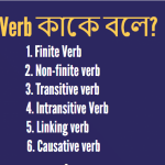 Verb কাকে বলে Verb কত প্রকার ও কি কি