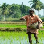 প্রাথমিক শিল্প কি? প্রাথমিক শিল্প বলতে কি বুঝায়?