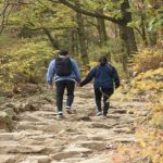 A dialogue about the benefits of morning walk