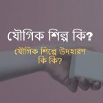 যৌগিক শিল্প কাকে বলে? যৌগিক শিল্পের উদাহরণ দাও?
