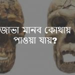জাভা মানব কোথায় পাওয়া যায় জাভা মানব সম্পর্কে জেনে নিন