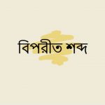 বিলম্বিত এর বিপরীত শব্দ কি?