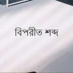 বিকল্প এর বিপরীত শব্দ কি?