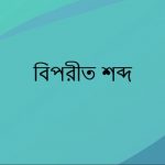 বামপন্থী এর বিপরীত শব্দ কি?