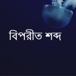 বাধা এর বিপরীত শব্দ কি?