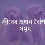 জীবের প্রধান বৈশিষ্ট্য সমূহ কি কি
