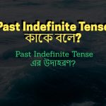 Past Indefinite Tense কাকে বলে Past Indefinite Tense এর উদাহরণ