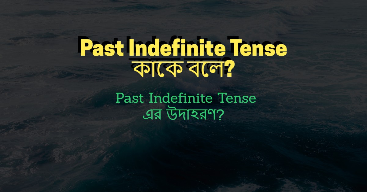 Past Indefinite Tense কাকে বলে? Past Indefinite Tense এর উদাহরণ?