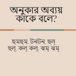 অনুকার অব্যয় কাকে বলে বা ধ্বন্যাত্মক অব্যয় কাকে বলে
