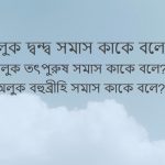 অলুক দ্বন্দ্ব সমাস কাকে বলে অলুক তৎপুরুষ ও অলুক বহুব্রীহি সমাস কি