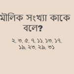মৌলিক সংখ্যা কাকে বলে