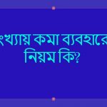 সংখ্যায় কমা ব্যবহারের নিয়ম কি