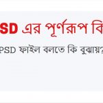 PSD এর পূর্ণরূপ কি