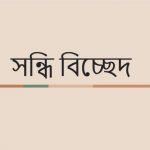তরুচ্ছায়া এর সন্ধি বিচ্ছেদ কি?