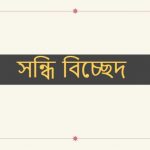 বাগর্থ এর সন্ধি বিচ্ছেদ কি?