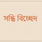 বিচ্ছিন্ন এর সন্ধি বিচ্ছেদ কি