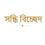 প্রতিচ্ছবি এর সন্ধি বিচ্ছেদ কি?