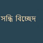 অনুচ্ছেদ এর সন্ধি বিচ্ছেদ কি?