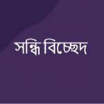 প্রাগুক্ত এর সন্ধি বিচ্ছেদ কি?
