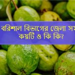 বরিশাল বিভাগের জেলা সমূহ কয়টি ও কি কি