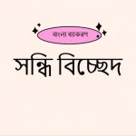 বিচ্ছেদ এর সন্ধি বিচ্ছেদ কি?