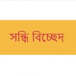 পৃথগন্ন এর সন্ধি বিচ্ছেদ কি