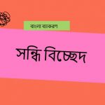 পরিচ্ছন্ন এর সন্ধি বিচ্ছেদ কি