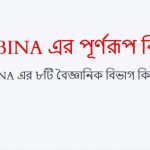 BINA এর পূর্ণরূপ কি