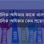 মৌলিক অধিকার কাকে বলে