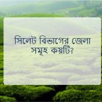 সিলেট বিভাগের জেলা সমূহ কয়টি