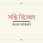তচ্ছিদ্র এর সন্ধি বিচ্ছেদ কি?
