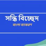 বিপচ্চয় এর সন্ধি বিচ্ছেদ কি
