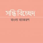 তচ্চিত্র এর সন্ধি বিচ্ছেদ কি