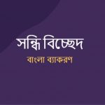 বিপচ্ছায়া এর সন্ধি বিচ্ছেদ কি