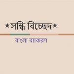 চলচ্ছবি এর সন্ধি বিচ্ছেদ কি?