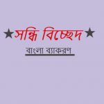 উচ্ছিন্ন এর সন্ধি বিচ্ছেদ কি?