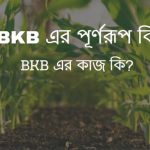BKB এর পূর্ণরূপ কি