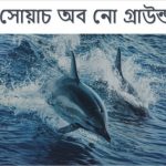 সোয়াচ অব নো গ্রাউন্ড