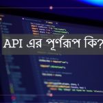 API এর পূর্ণরূপ কি