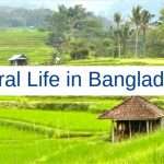 Rural Life in Bangladesh Paragraph