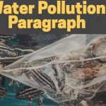 Water Pollution Paragraph
