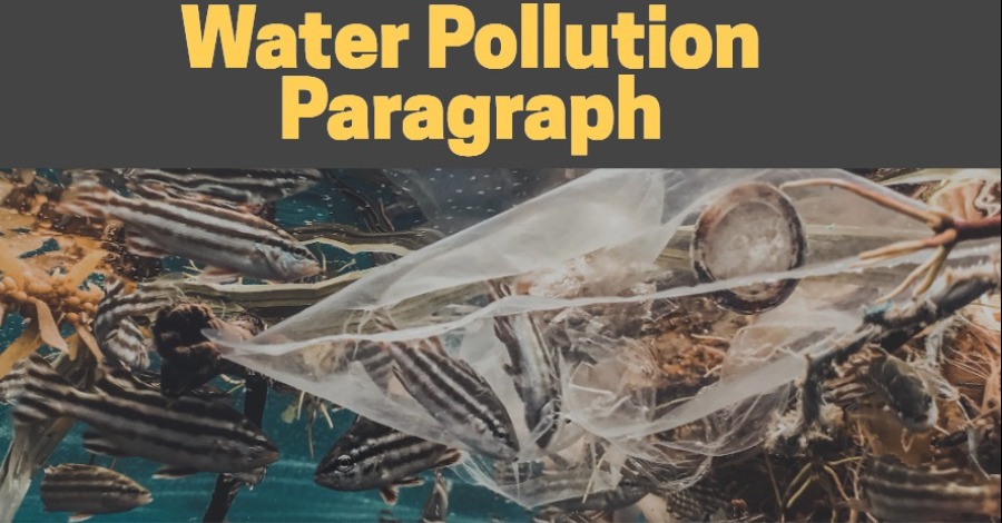 Water Pollution Paragraph For Class 6, 7, 8, 9, 10, 11, 12