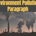 Environment Pollution Paragraph