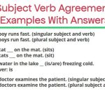 Subject Verb Agreement Examples With Answers
