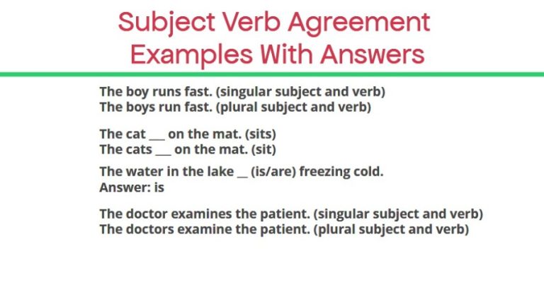 Subject Verb Agreement Examples With Answers - expertpreviews