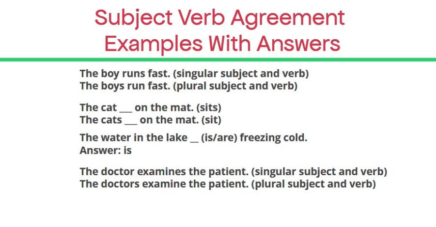 Subject Verb Agreement Examples With Answers